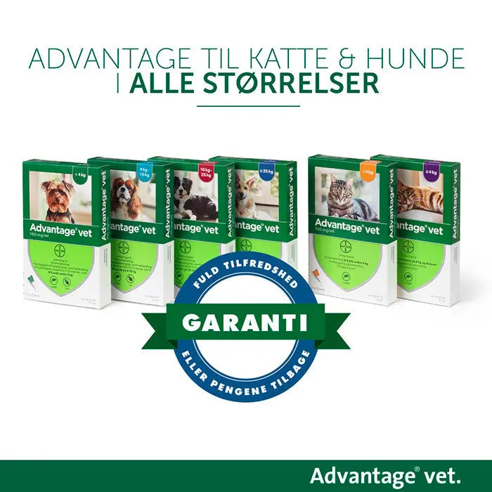 ADVANTAGE VET Loppemiddel hund 10-25 kg - 4x2,5 ml