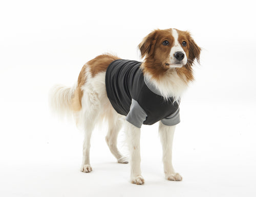 Body Suit EasyGO XS 38 cm sort/grå