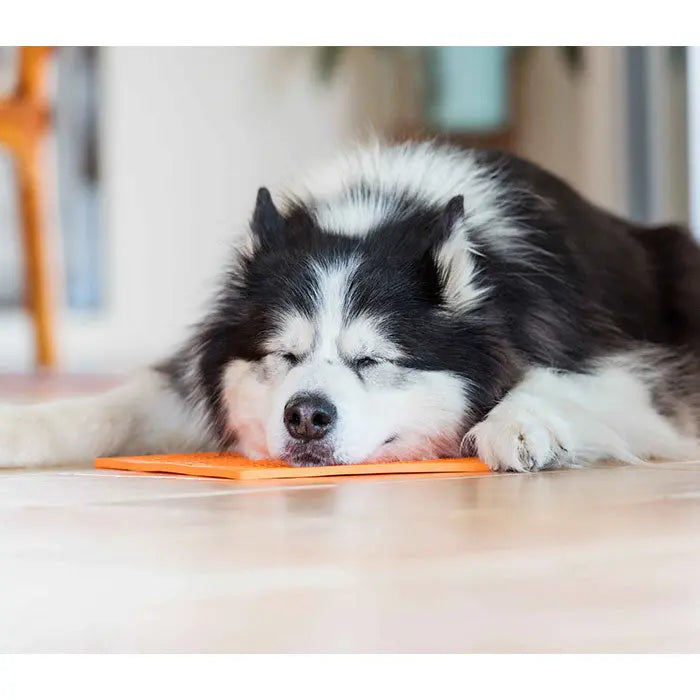 LickiMat Orginal 20 cm orange
