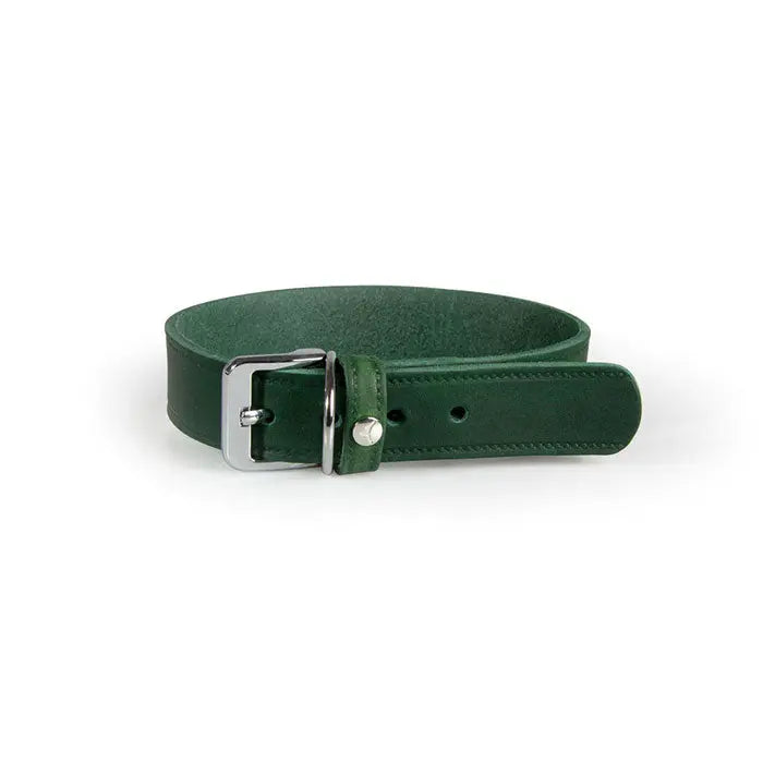 Læder halsbånd Weinheim 17-23 cm grøn bred