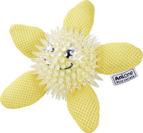 Vandlegetøj søstjerne 15 cm