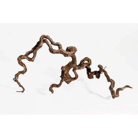 Winewoodm 40-70 cm